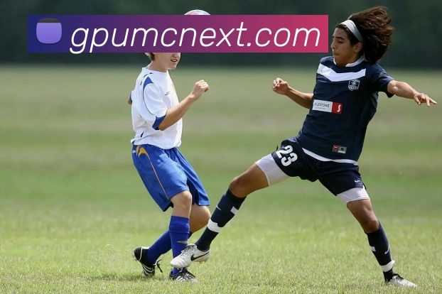 多终端兼容